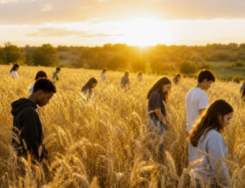 Why Kairos Torch Deserves Our Attention